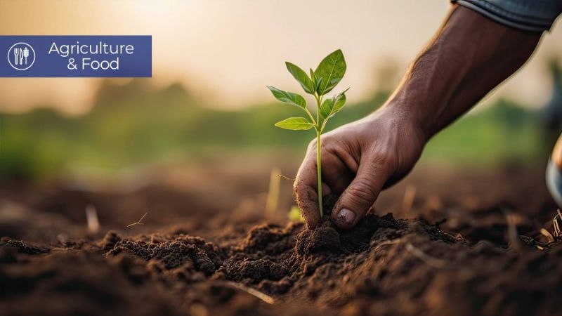 Pioneering Leadership in Agribusiness